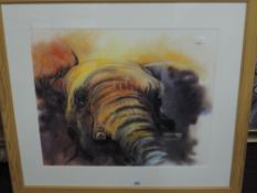 A contemporary watercolour, study of an elephant in earthy tones, initialled RC lower left, within a