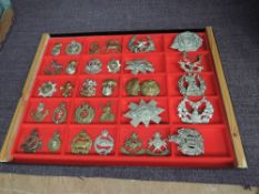 A display cases containing Twenty Two metal Military Cap badges including Royal Welsh Fusiliers,