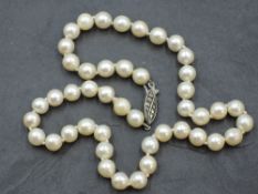 A short string of cultured pearls of even form having marcasite set white metal clasp stamped