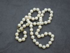 A string of cultured pearls of even form having 9ct gold ball and tongue clasp, approx 19'