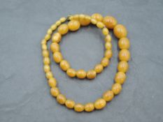 A short string of graduated butterscotch amber style beads, possibly Copal, approx 31.4g & 19'