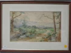 (19th/20th century), a watercolour, rural landscape, 19 x 33cm, mounted framed and glazed, 33 x