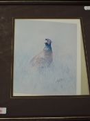R Fletcher, (20th century), after, a print, pheasant, 26 x 21cm, mounted framed and glazed, 41 x