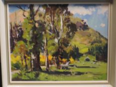 Douglas Badcock, (1922-2009), an oil painting, Broom and Blue Gums, signed bottom