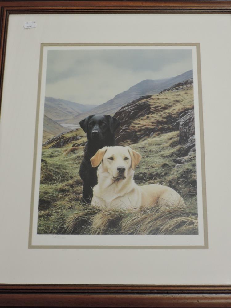Steven Townsend, (contemporary), a Ltd Ed print, labrador dogs, signed...