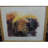 A contemporary watercolour, study of an elephant in earthy tones, initialled RC lower left,