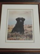 Steven Townsend, (contemporary), a Ltd Ed print, labrador dog, signed bottom right, and num 112/400,