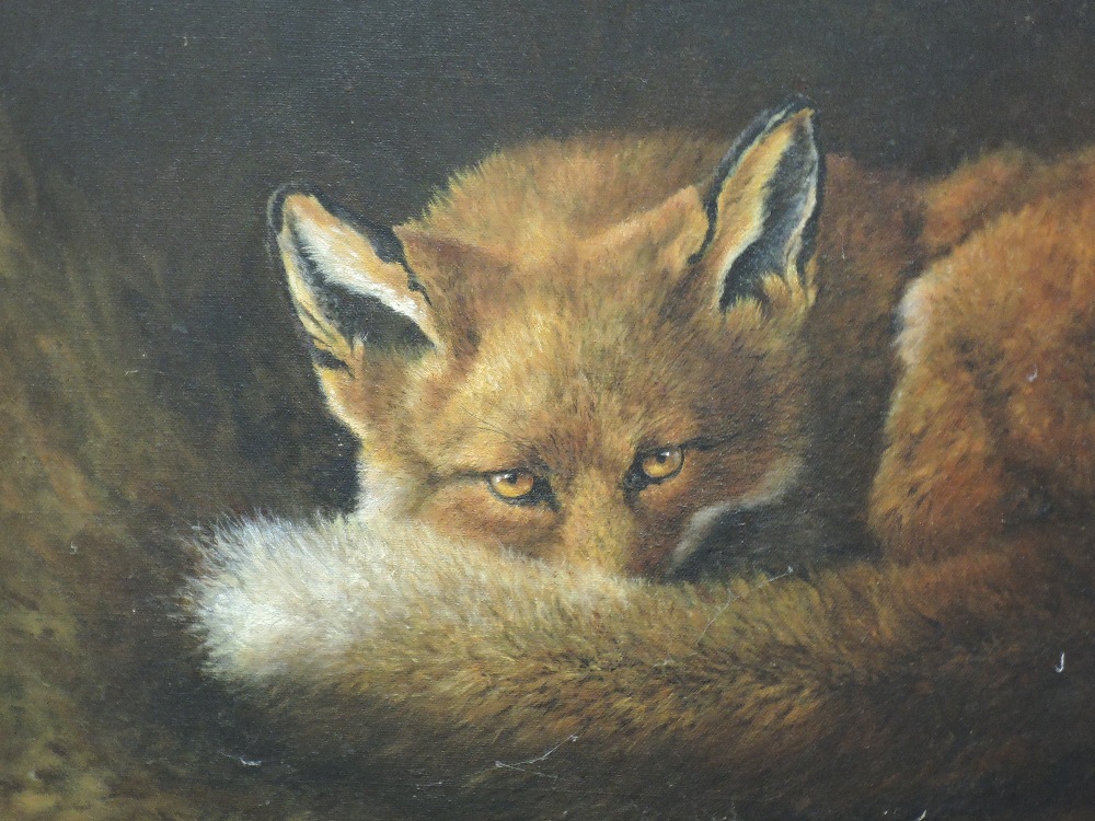 Tim Hayward, (contemporary), an oil painting, fox in den, signed bottom...