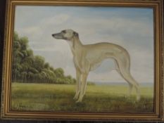 W Hobson, (20th century), an oil painting on board, greyhound, signed bottom right, 45 x 60cm,