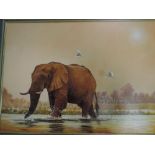 S Gray (contemporary) oil on board, African elephant watering, signed lower right, within a