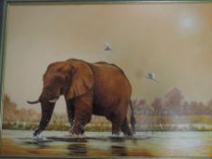 S Gray (contemporary) oil on board, African elephant watering, signed lower right, within a
