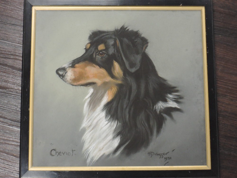 E Prosser, (20th century), Cheviot, border collie, signed and dated 1931...