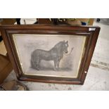 A Victorian print of a horse