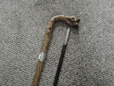 A HM silver topped walking cane with a Gorse shafted and HM silver banded walking stick