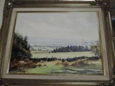 D Whitta.(20th century), country landscape, signed, 30 x 40cm, ornate framed, 42 x 52cm
