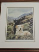 Steven Townsend, (contemporary), two Ltd Ed prints, labrador dogs, signed bottom right, and num
