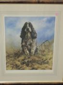 Mike Causton, (20th century), after, a Ltd Ed print, spaniel gun dog, indistinctly signed and num