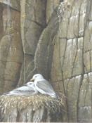 Ralph Waterhouse, (1943), a watercolour, Kittiwakes, signed and dated (19)83, 49 x 41cm, mounted