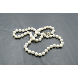 A string of cultured pearls of even form having 9ct gold ball and tongue clasp, approx 19'