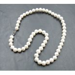 A string of cultured pearls of baroque form having a silver dog leash clasp, approx 16'