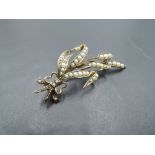 A yellow metal brooch in the form of a tied sprig having seed pearl decoration, bearing marks,