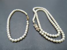 A short string of seed pearls of even form having 9ct gold clasp, approx 15' with matched single