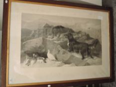 Thomas Landseer,(1795-1880), after, an engraving, Setter and Ptarmigan life, signed, and dated 1874