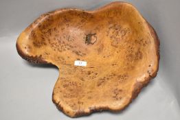 A Large Burr Oak carved bowl.