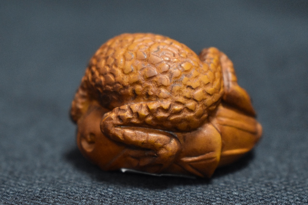 An early 20th century Japanese Netsuke carved wood sculpture of a frog with lily leaf wrapped around - Bild 2 aus 2