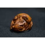 An early 20th century Japanese Netsuke carved wood sculpture of a frog with lily leaf wrapped around