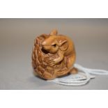 An early 20th century Japanese Netsuke carved as a mouse holding onto a Conifer cone