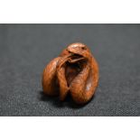 An early 20th century Japanese carved wood Netsuke of a Snake wrapped around a Frog