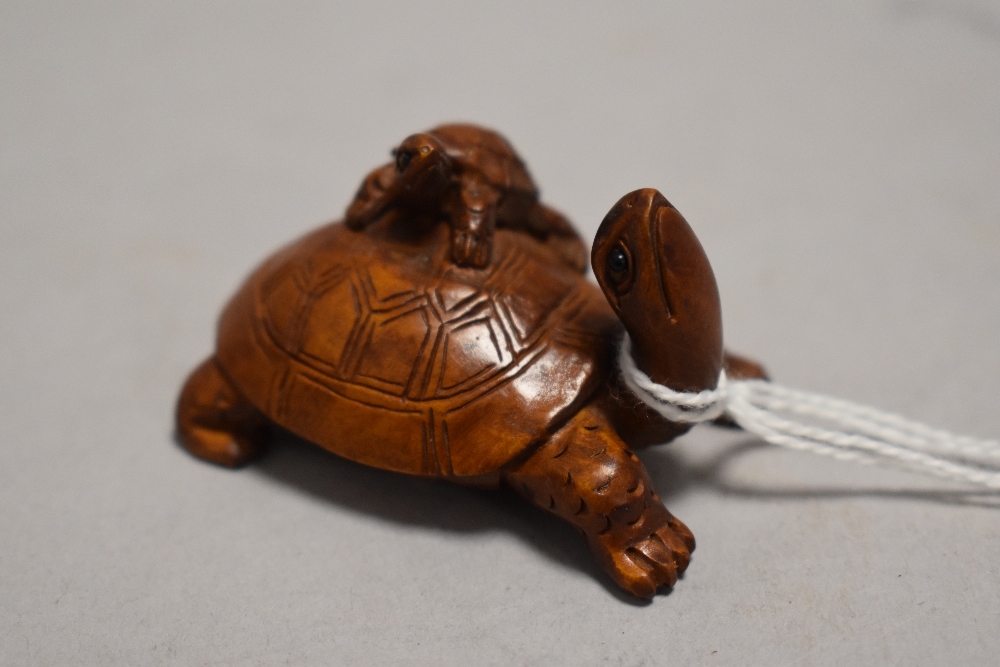 An early 20th century Japanese carved wood Netsuke of a mother tortoise with a baby climbing upon