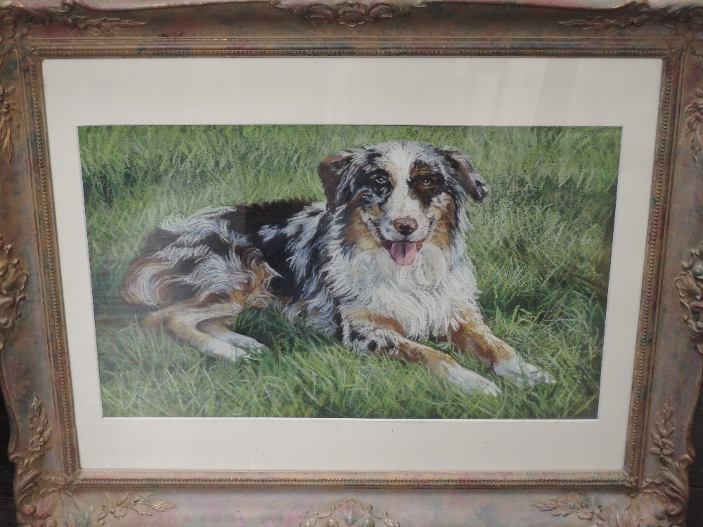 A J Stanley, (contemporary), a pastel sketch, dog study, 28 x 44cm, mounted framed and glazed, 51