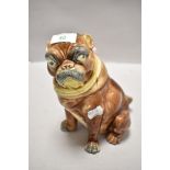 An antique Majolica tobacco jar in the form of a Pug dog, Lid having had repairs