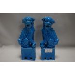 A pair of Chinese porcelain temple dogs of Fo in an azure blue glaze