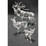 A family of three modern Swarovski silver crystal glass deer and stag with box