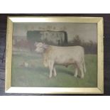 J C, (19th/20th century), an oil painting, Shorthorn bull, initialled and dated 1903, 34 x 44cm,