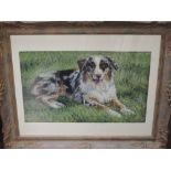 A J Stanley, (contemporary), a pastel sketch, dog study, 28 x 44cm, mounted framed and glazed, 51