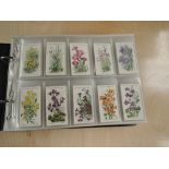 A collection of WD & HO Wills Cigarette Cards in 12 modern albums, mainly full sets if not all,
