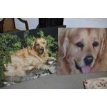 A pair of large canvas prints, dog interest