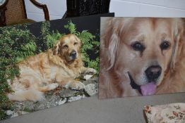 A pair of large canvas prints, dog interest