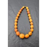 A short string of graduating oval butterscotch amber beads with barrel clasp, approx 15' & 42.8g