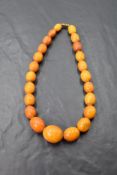 A short string of graduating oval butterscotch amber beads with barrel clasp, approx 15' & 42.8g