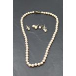 A string of cultured pearls of even form having 9ct gold clasp, approx 18' and 3 pairs of cultured