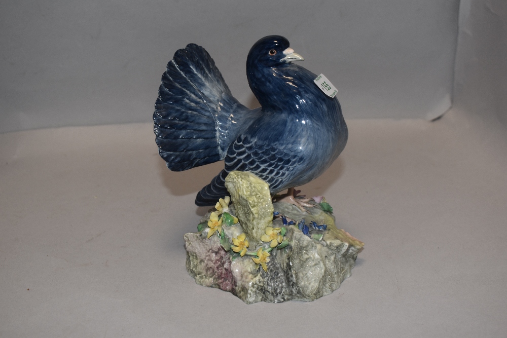 A Royal Crown Derby study, Fan tailed pigeon (af)