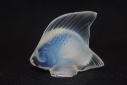 A 20th century Lalique art glass study of a tropical fish in opalescent glass signed Lalique France