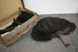 A large late 19th/ early 20th century black ostrich feather fan and a selection of vintage feathers,