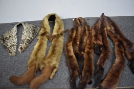 A box of vintage mink and similar fur tippets/ stoles.