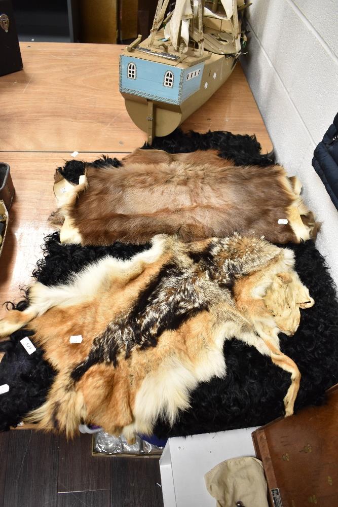 A Black sheep skin rug and two similar animal hide skins